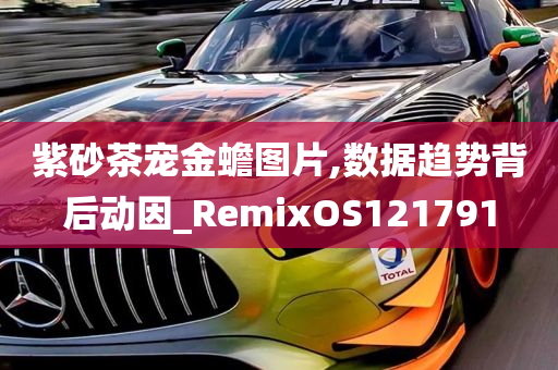 紫砂茶宠金蟾图片,数据趋势背后动因_RemixOS121791