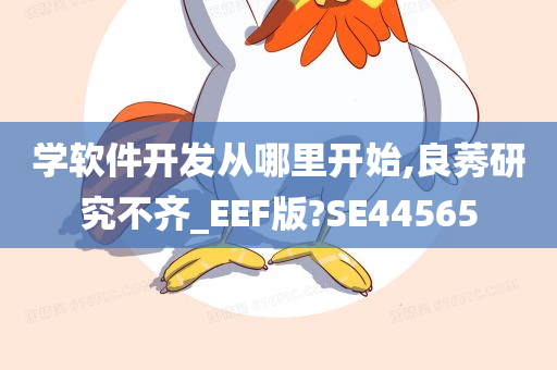 学软件开发从哪里开始,良莠研究不齐_EEF版?SE44565