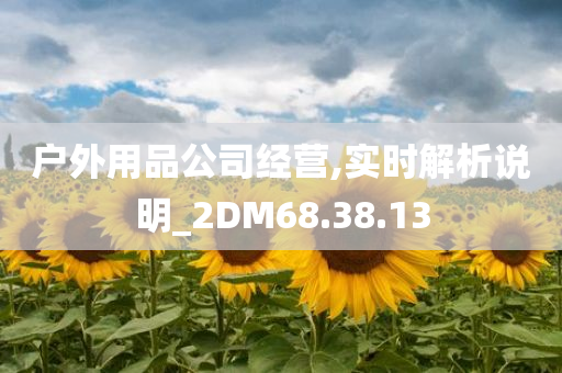 户外用品公司经营,实时解析说明_2DM68.38.13