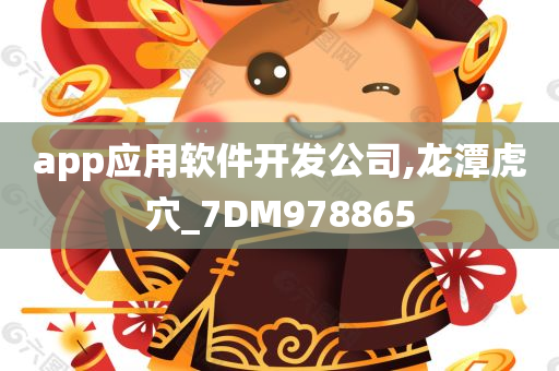 app应用软件开发公司,龙潭虎穴_7DM978865