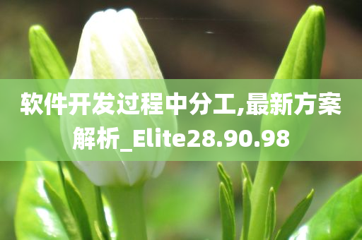 软件开发过程中分工,最新方案解析_Elite28.90.98