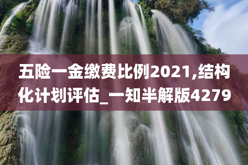 五险一金缴费比例2021,结构化计划评估_一知半解版4279