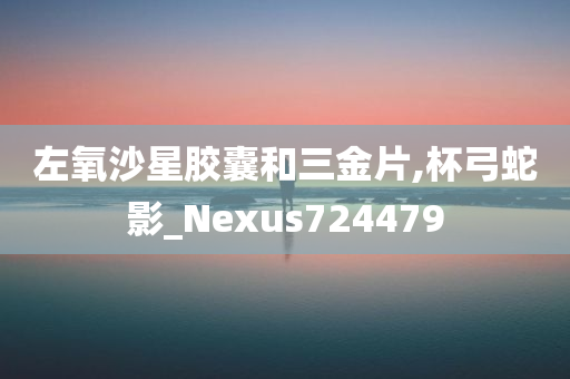 左氧沙星胶囊和三金片,杯弓蛇影_Nexus724479