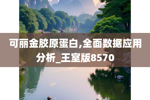 可丽金胶原蛋白,全面数据应用分析_王室版8570