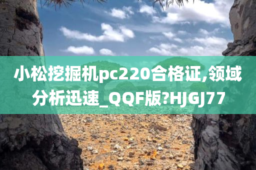 小松挖掘机pc220合格证,领域分析迅速_QQF版?HJGJ77