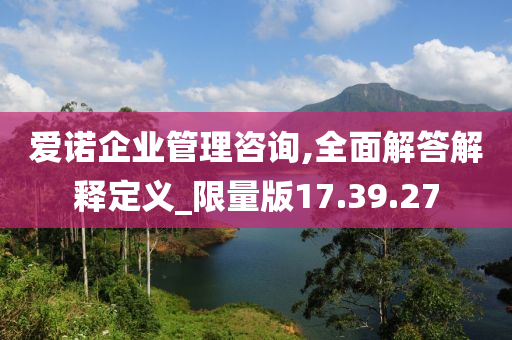 爱诺企业管理咨询,全面解答解释定义_限量版17.39.27