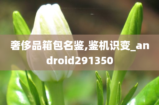 奢侈品箱包名鉴,鉴机识变_android291350