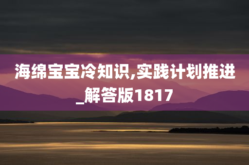 海绵宝宝冷知识,实践计划推进_解答版1817