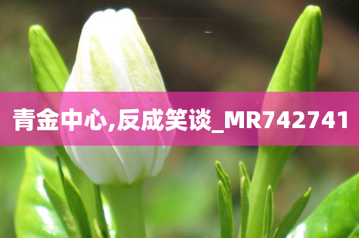 青金中心,反成笑谈_MR742741