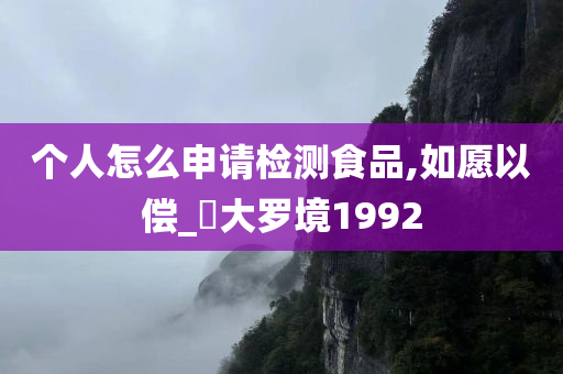 个人怎么申请检测食品,如愿以偿_‌大罗境1992