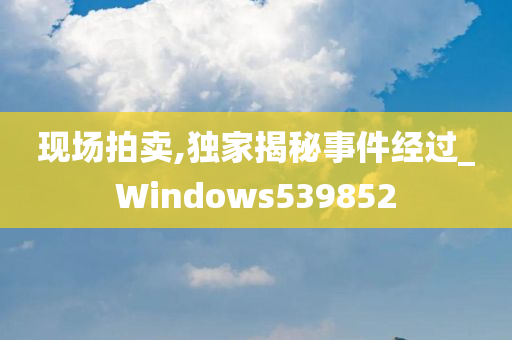 现场拍卖,独家揭秘事件经过_Windows539852