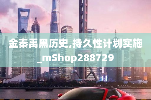 金秦禹黑历史,持久性计划实施_mShop288729