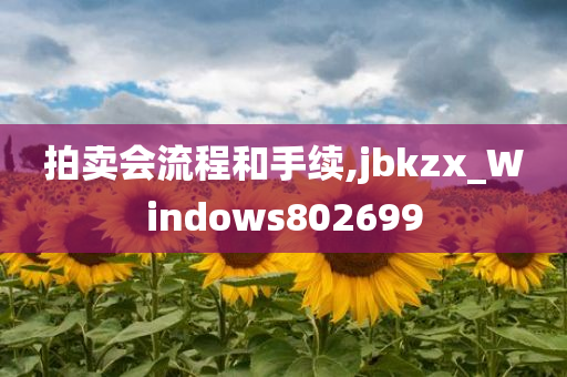 拍卖会流程和手续,jbkzx_Windows802699