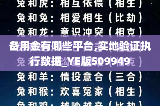 备用金有哪些平台,实地验证执行数据_YE版509949