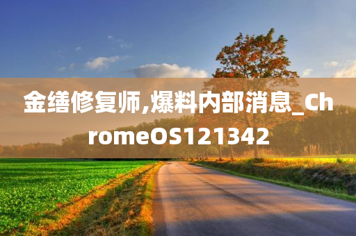 金缮修复师,爆料内部消息_ChromeOS121342