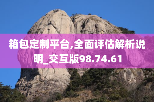 箱包定制平台,全面评估解析说明_交互版98.74.61