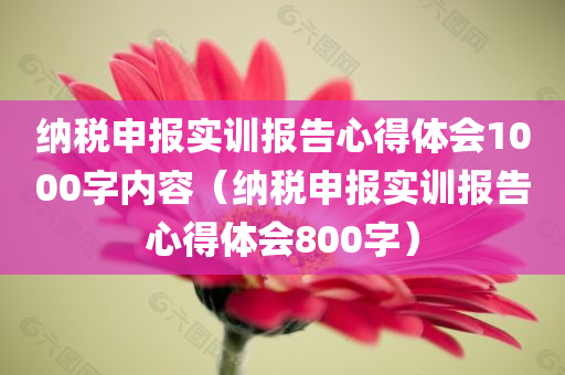 纳税申报实训报告心得体会1000字内容（纳税申报实训报告心得体会800字）