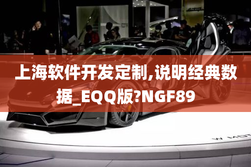 上海软件开发定制,说明经典数据_EQQ版?NGF89