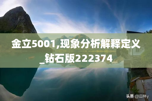 金立5001,现象分析解释定义_钻石版222374