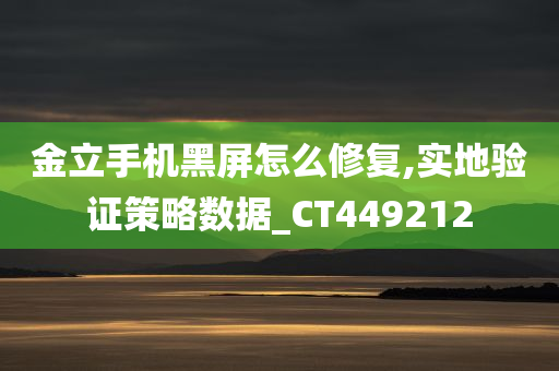 金立手机黑屏怎么修复,实地验证策略数据_CT449212