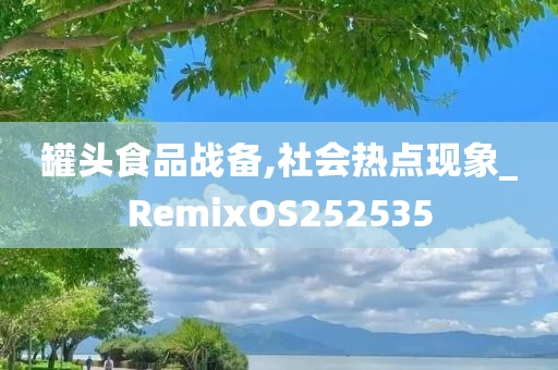 罐头食品战备,社会热点现象_RemixOS252535