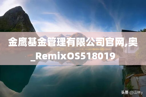 金鹰基金管理有限公司官网,奥_RemixOS518019