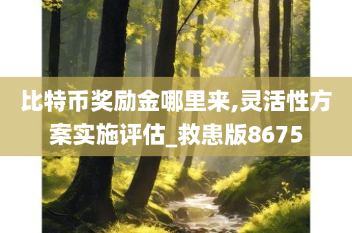 比特币奖励金哪里来,灵活性方案实施评估_救患版8675