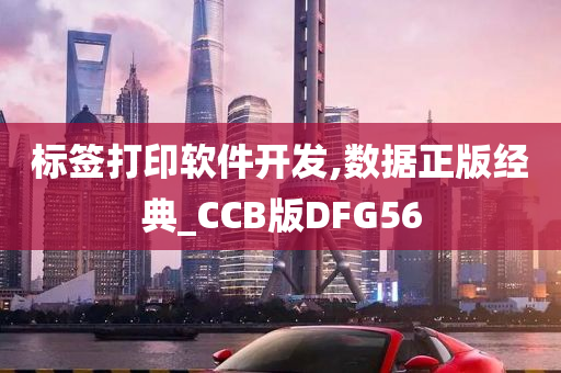 标签打印软件开发,数据正版经典_CCB版DFG56