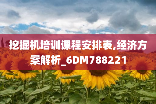 挖掘机培训课程安排表,经济方案解析_6DM788221