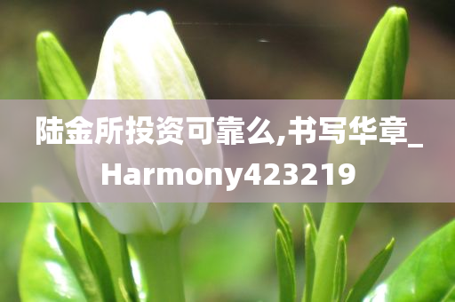 陆金所投资可靠么,书写华章_Harmony423219