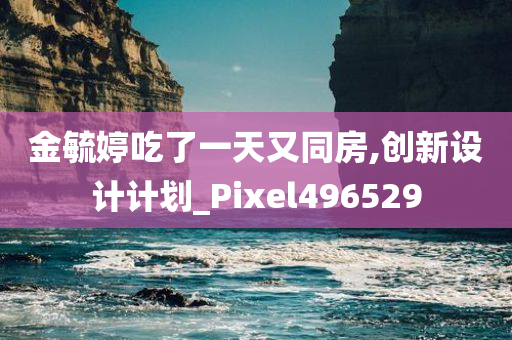 金毓婷吃了一天又同房,创新设计计划_Pixel496529