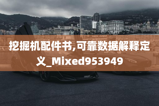 挖掘机配件书,可靠数据解释定义_Mixed953949