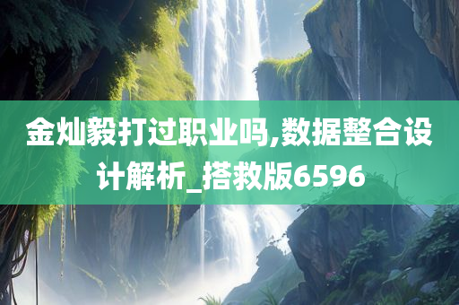 金灿毅打过职业吗,数据整合设计解析_搭救版6596