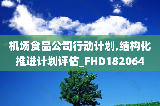 机场食品公司行动计划,结构化推进计划评估_FHD182064