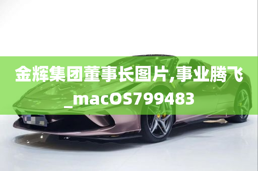 金辉集团董事长图片,事业腾飞_macOS799483