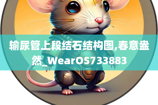 输尿管上段结石结构图,春意盎然_WearOS733883