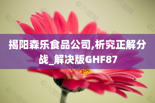 揭阳森乐食品公司,析究正解分战_解决版GHF87