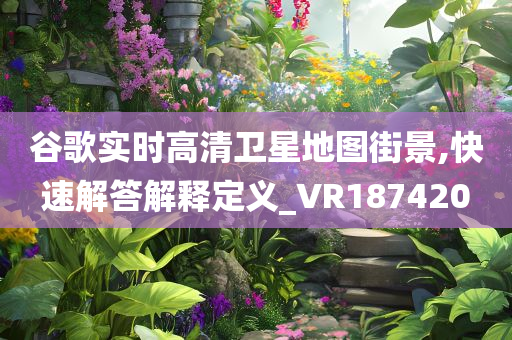 谷歌实时高清卫星地图街景,快速解答解释定义_VR187420