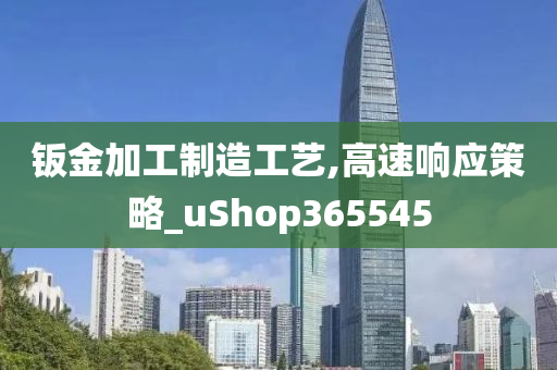 钣金加工制造工艺,高速响应策略_uShop365545