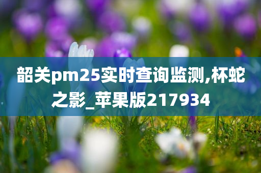 韶关pm25实时查询监测,杯蛇之影_苹果版217934