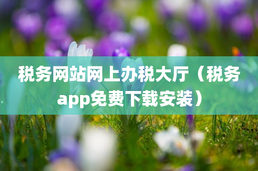 税务网站网上办税大厅（税务app免费下载安装）