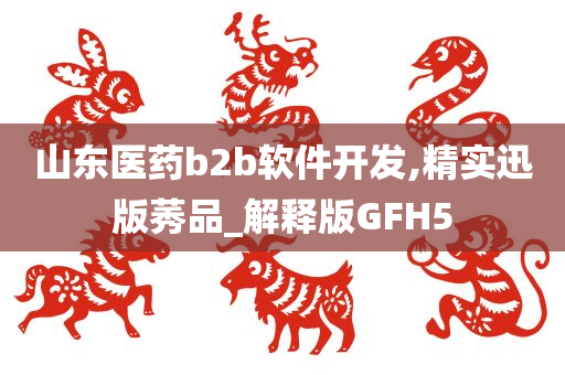 山东医药b2b软件开发,精实迅版莠品_解释版GFH5