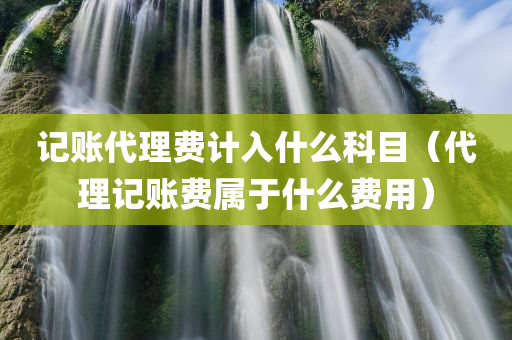 记账代理费计入什么科目（代理记账费属于什么费用）