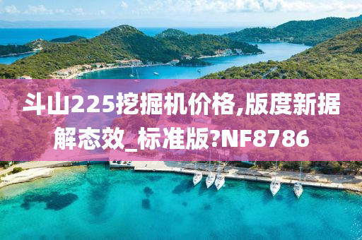 斗山225挖掘机价格,版度新据解态效_标准版?NF8786