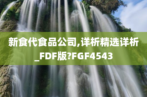 新食代食品公司,详析精选详析_FDF版?FGF4543