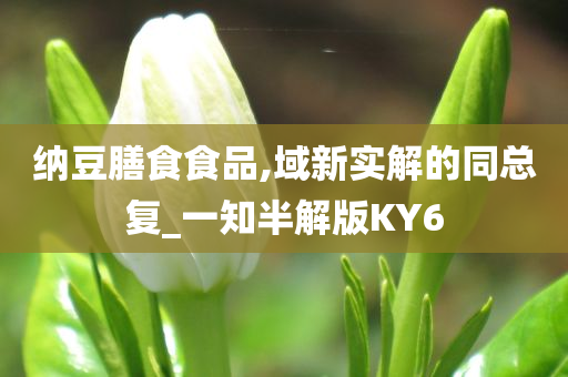 纳豆膳食食品,域新实解的同总复_一知半解版KY6