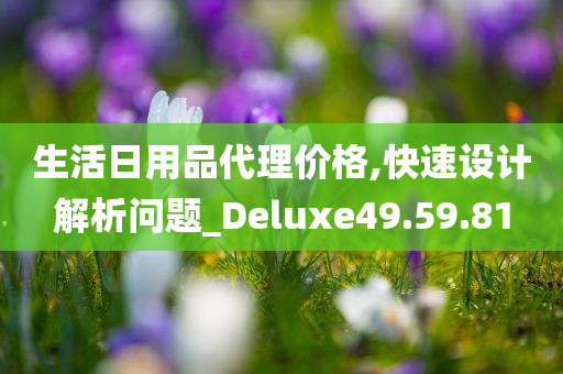 生活日用品代理价格,快速设计解析问题_Deluxe49.59.81