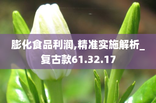 膨化食品利润,精准实施解析_复古款61.32.17