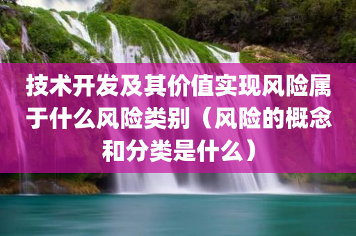 技术开发及其价值实现风险属于什么风险类别（风险的概念和分类是什么）