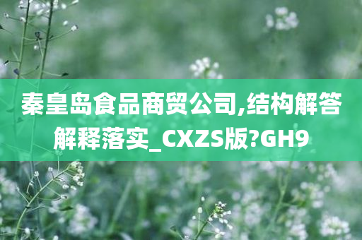 秦皇岛食品商贸公司,结构解答解释落实_CXZS版?GH9